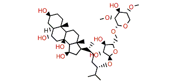 Mediasteroside M3